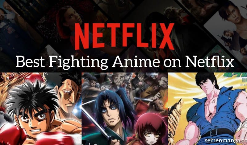Best Fighting Anime on Netflix with Different Martial Arts