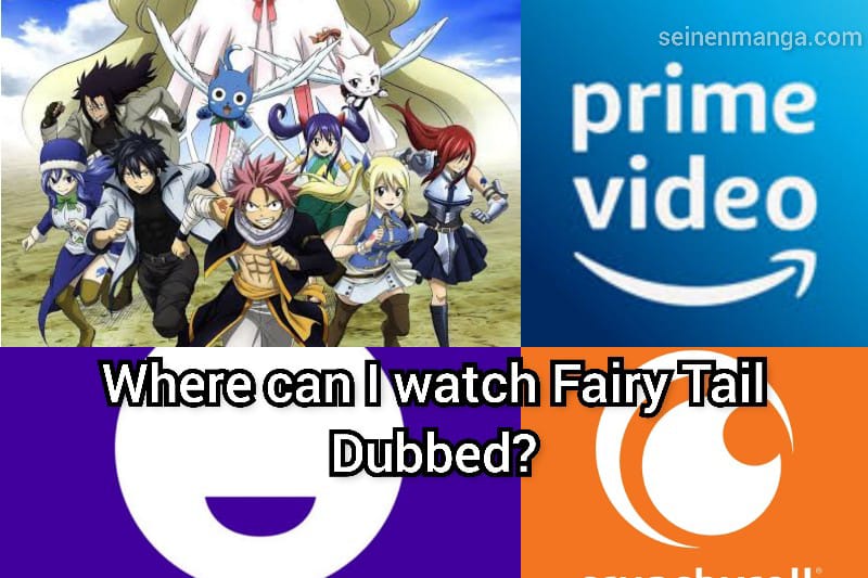 Where can I watch Fairy Tail Dubbed