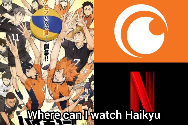 Where can I watch Haikyu