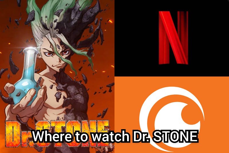 Dr. Stone Where to watch