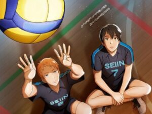 best japanese anime volleyball_2.43