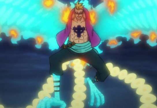 Marco One Piece Hybrid form