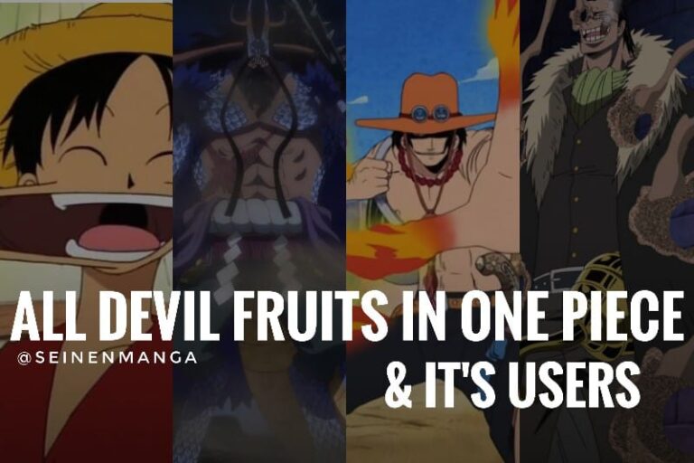 All Devil Fruits in One Piece and its user
