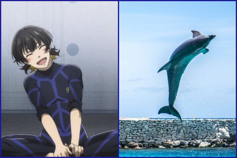 Meguru & Dolphin