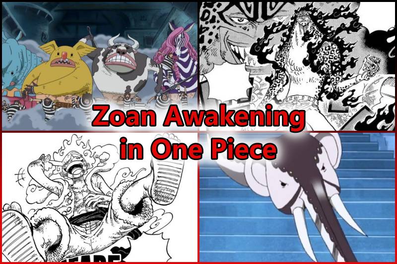 Zoan Awakening in One Piece