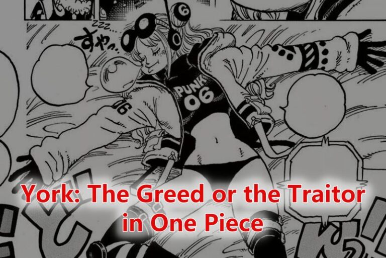 York The Greed or the Traitor in One Piece